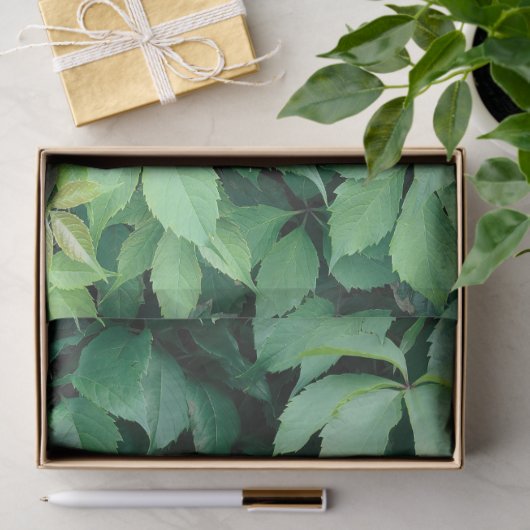 Groene druivenbladeren tissuepapier (Geschenk)