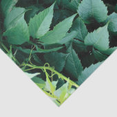 Groene druivenbladeren tissuepapier (Detail)