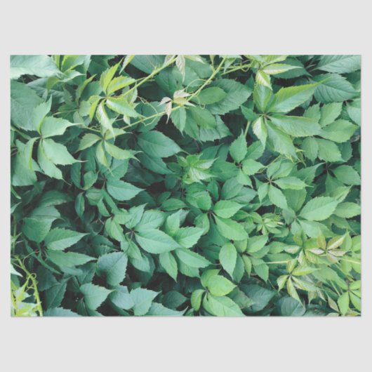 Groene druivenbladeren tissuepapier (Voorkant)