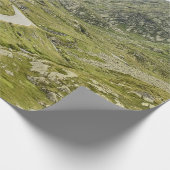 GROENE DRUKVELD EN MOUNTAS CADEAUPAPIER (Hoek)