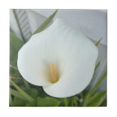 Groene Duim Tuin Plant White Calla Lily Flower Tegeltje (Voorkant)