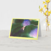 "Groene Echinacea " Kaart (Gele Bloem)