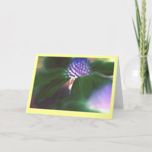 "Groene Echinacea " Kaart