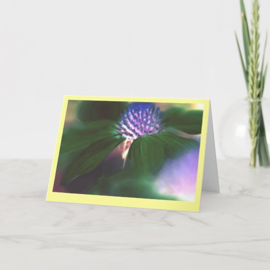"Groene Echinacea " Kaart (Voorkant)