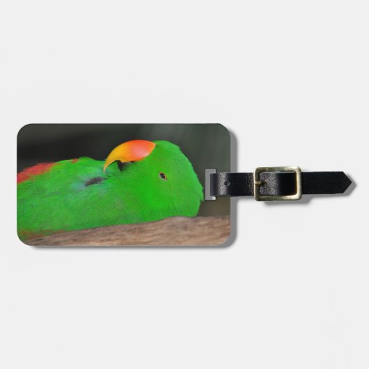 Groene eclectische papegaaivis bagagelabel (Voorkant horizontaal)