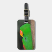 Groene eclectische papegaaivis bagagelabel (Voorkant verticaal)