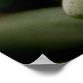 Groene Edelstenen Poster (Hoek)