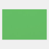 Groene effen kleur inpakpapier vel (Voorkant 2)