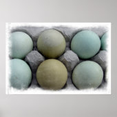 Groene eieren poster (Voorkant)