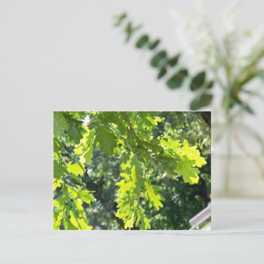 Groene eiken bladeren leeg briefkaart (Staand voorkant)