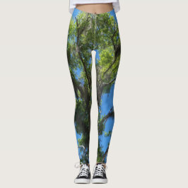 Groene eikenboom & blauwe lucht op leggings