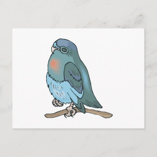Groene en blauwe budgie vogel briefkaart (Voorkant)