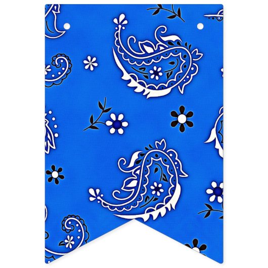 Groene en blauwe Cowboy Teddy Bear Verjaardag Bann Vlaggetjes (Tweede vlag)