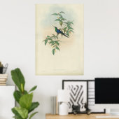 Groene en Blauwe Gould Hummingbird Poster (Thuiskantoor)