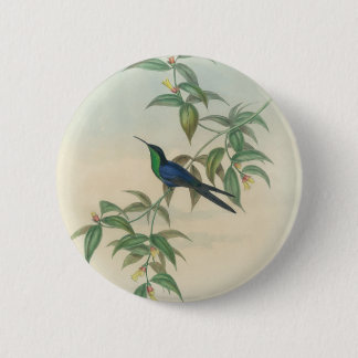 Groene en Blauwe Gould Hummingbird Ronde Button 5,7 Cm