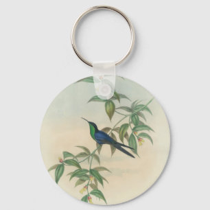 Groene en Blauwe Gould Hummingbird Sleutelhanger
