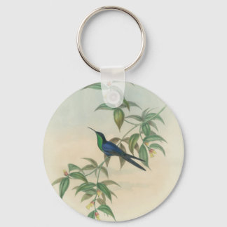 Groene en Blauwe Gould Hummingbird Sleutelhanger