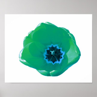 Groene en Blauwe Tulp Poster