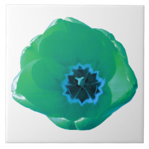 Groene en blauwe Tulp Tile Tegeltje