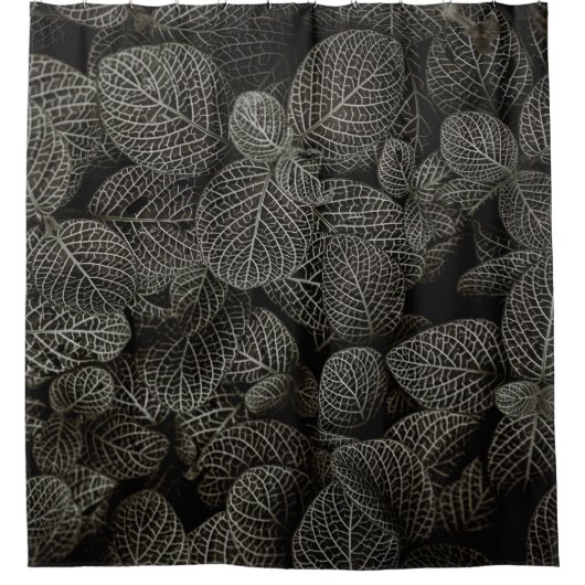 GROENE EN BROEIENDE PIJNCONS DOUCHEGORDIJN (Voorkant)