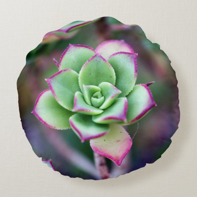 Groene en Fuchsia Succulent Plant Round Pillow Rond Kussen (Achterkant)