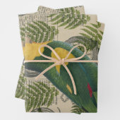 Groene en gele papegaai op bladeren inpakpapier vel (In situ)