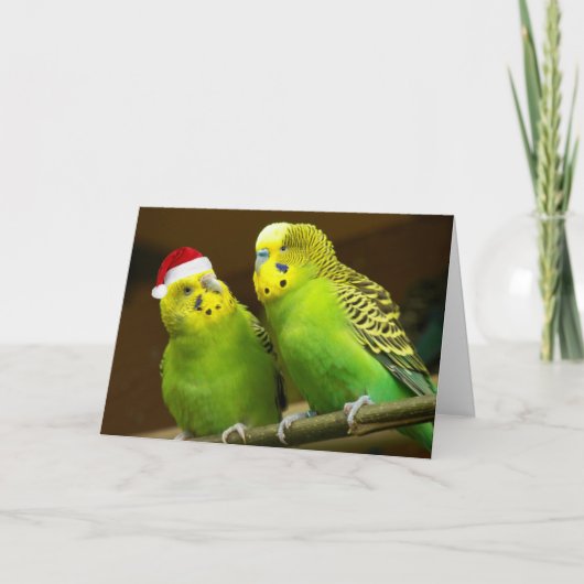 Groene en gele parkiet in Santa-hoed Grappig Feestdagen Kaart (Voorkant)