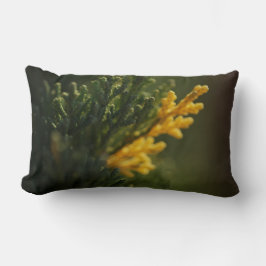 Groene en gele plant Close-up foto werp kussen