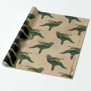  groene en gele vogels cadeaupapier