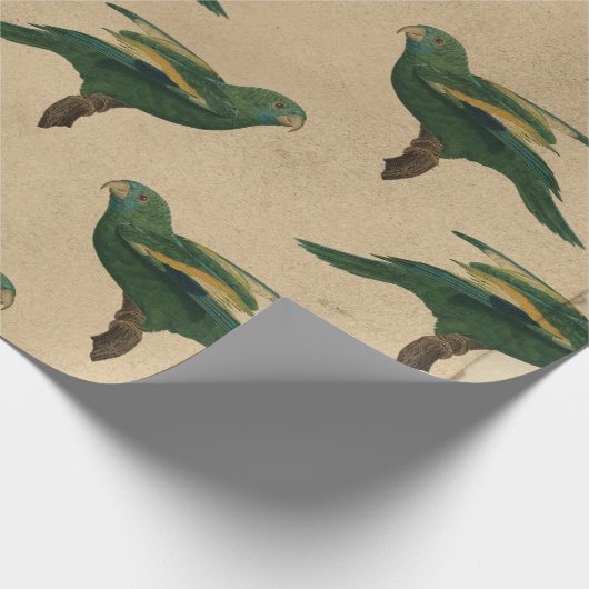  groene en gele vogels cadeaupapier (Hoek)