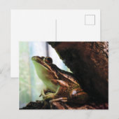 Groene en gouden kikkikker aankondigingskaart (Voorkant / Achterkant)