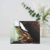 Groene en gouden kikkikker aankondigingskaart (Staand voorkant)