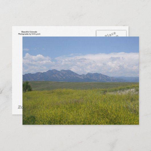 Groene en goudvelden briefkaart (Voorkant / Achterkant)