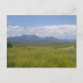 Groene en goudvelden briefkaart (Voorkant)