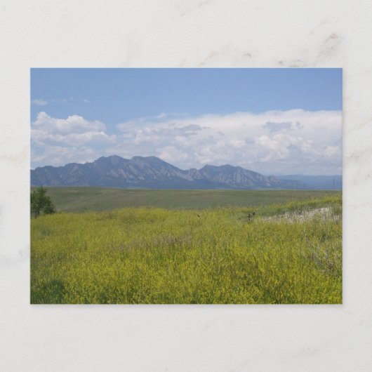 Groene en goudvelden briefkaart (Voorkant)