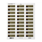 Groene en Grijze Kat Nap Etiket (Full Sheet)