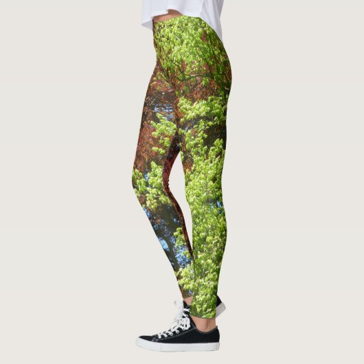 Groene en koperbeukenlegging leggings (Links)