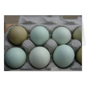 Groene en levende eieren (Voorkant Horizontaal)