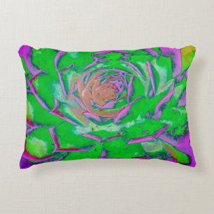 Groene en magenta succulent Sedum rozet Accent Kussen