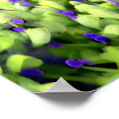 groene en paarse bloemen poster (Hoek)