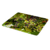 Groene en Paarse druiven die op de wijnstok groeie Snijplank (Hoek)