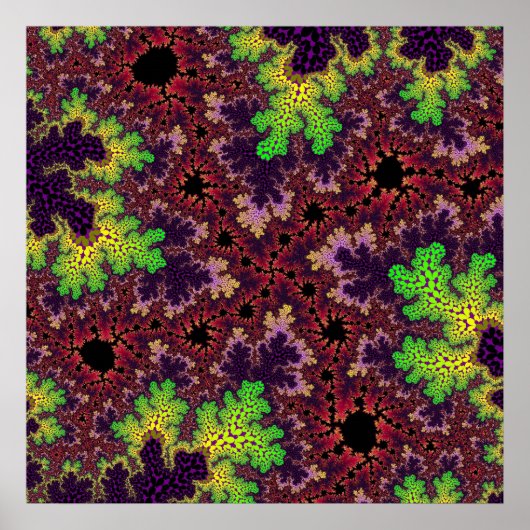 Groene en Paarse specerijen Poster (Voorkant)