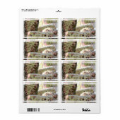Groene en rode getinte wijnkurken Wijnfles Labels (Full Sheet)