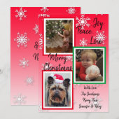 Groene en rode sneeuwvlokken Familie Foto's Kerstm Kaart (Voorkant / Achterkant)