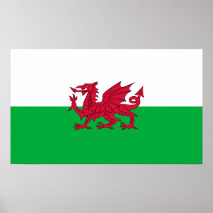 Groene en rode vlag van Wales met draak Poster