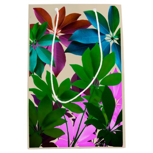 Groene en roze lederen tas medium cadeauzakje (Voorkant)