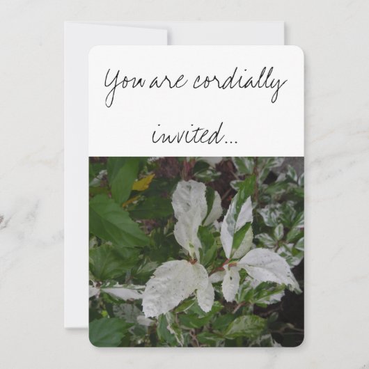 Groene en witte bladeren: bruiloft kaart (Voorkant)