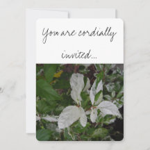 Groene en witte bladeren: bruiloft