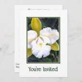 Groene en Witte Cattleya Orchideeën Uitnodiging (Voorkant / Achterkant)