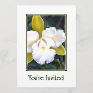 Groene en Witte Cattleya Orchideeën Uitnodiging
